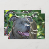 Pitbullehond Kaart (Voorkant / Achterkant)