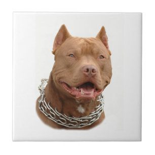 Pitbullehond Tegeltje