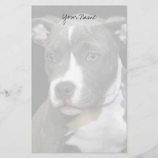 Pitbullpuppy briefpapier (Voorkant)