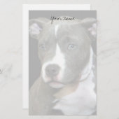 Pitbullpuppy briefpapier (Voorkant / Achterkant)