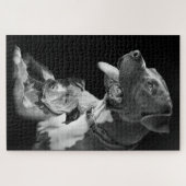 Pitbulls Legpuzzel (Horizontaal)