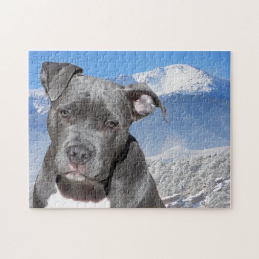 Pitbullterriër. Legpuzzel (Horizontaal)