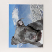 Pitbullterriër. Legpuzzel (Verticaal)