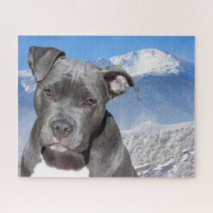 Pitbullterriër. Legpuzzel