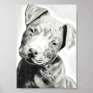 Pitbulppuppy in potlood, gedrukt door Jacob Grimm Poster