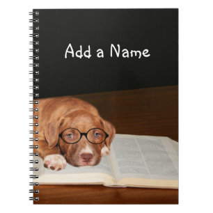 Pitbulppuppy leest notitieboek