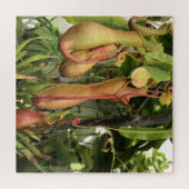 Pitcher-Plant, apenpotten Legpuzzel (Horizontaal)