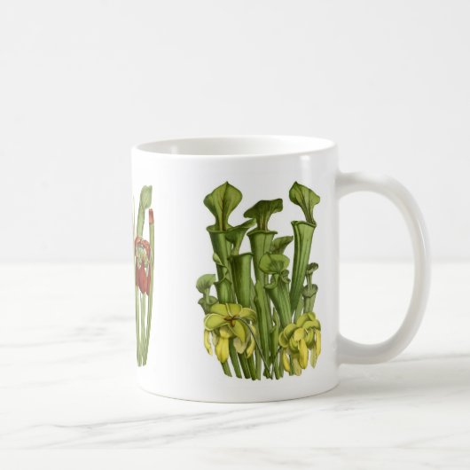 Pitcher-planten Koffiemok (Rechts)