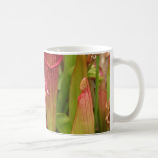 Pitcher-Planten Koffiemok