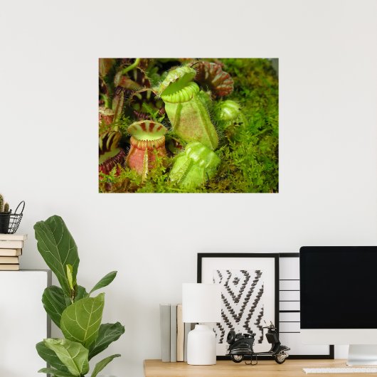 Pitcher-Planten Poster (Thuiskantoor)