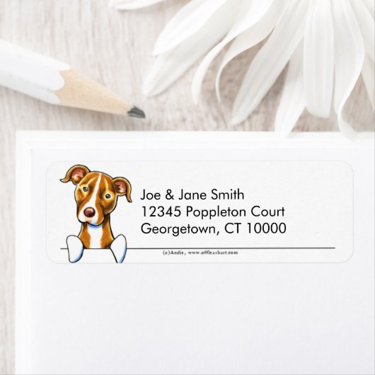 Pitt Bull Clean & Simple Etiket (Insitu)