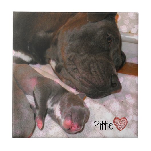 Pittie Love Tegeltje (Voorkant)