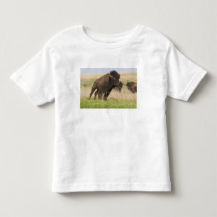 Pittige jonge bizonstier bij de Tallgrass Kinder Shirts