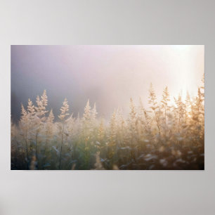 Pittoreske Landschap Natuur Close-up achtergrond Poster