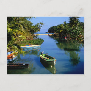 Pittoreske rivier bij Ocho Rios in Jamaica Briefkaart