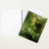 PITTORESQUE FORÊT VERTE FERNS ANNUEL PITTORESQUE (Devant avec enveloppe)