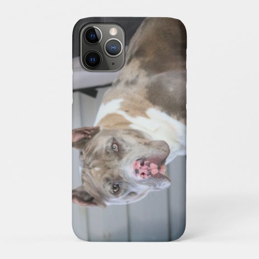 Pittstier Case-Mate iPhone Case (Achterkant)