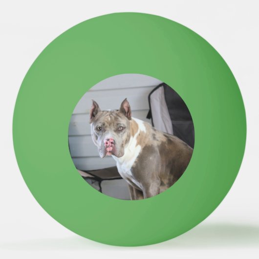 Pittstier Pingpongballen (Voorkant)