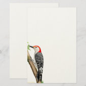 Pivert gonflé par rouge sur une papeterie de (Devant / Derrière)