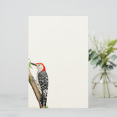 Pivert gonflé par rouge sur une papeterie de (Debout devant)