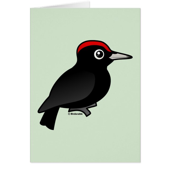 Pivert noir (Devant)