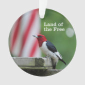 pivert Rouge-dirigé (devant)