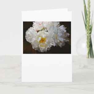 Pivoine, carte