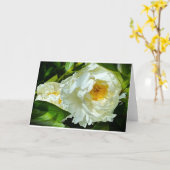 Pivoine, carte (Fleur jaune)
