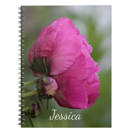 Pivoine rose carnet
