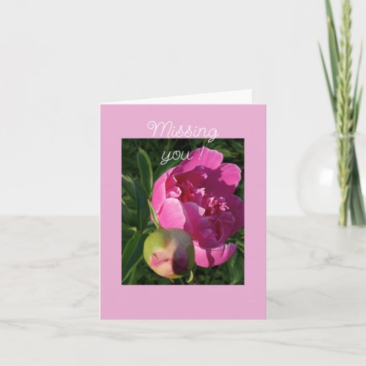 Pivoine rose - Vous manquant  Carte (Devant)