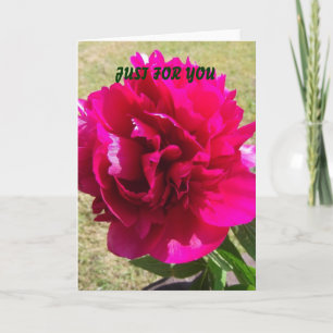 Pivoine rouge toute carte de voeux d'occasion
