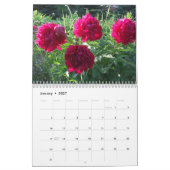 Pivoines 2016 fleurs de calendrier (Jan 2027)