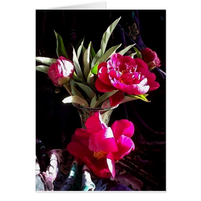 Pivoines rouges romantiques (Devant)