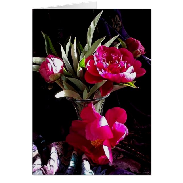 Pivoines rouges séduisantes (Devant)