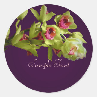 PixDezine groene cymgidium orchidee/DIY achtergron Ronde Sticker