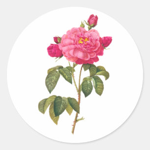 PixDezine  Victoriaans rozen/redoute Ronde Sticker