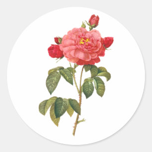PixDezine  Victoriaans rozen/redoute Ronde Sticker