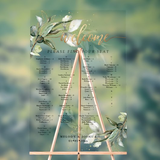 PixDezines Elégant Rustique Eucalyptus Seating Cha (Neutre)