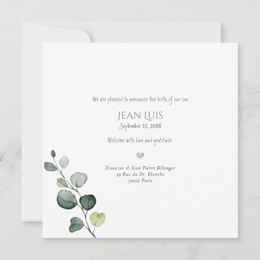 PixDezines Eucalyptus Faire-part de naissance (Dos)