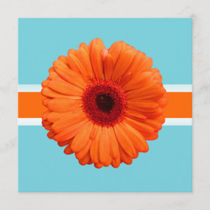 PixDezines Gerbera, oranje/diy achtergrondkleuren Kaart