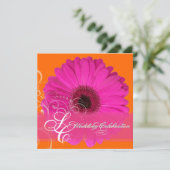 PixDezines Gerbera, roze/dij evenement! Kaart (Staand voorkant)