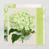 PixDezines groene hydrangea Kaart (Voorkant / Achterkant)