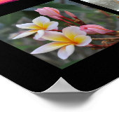 PixDezines instagram it, affiches 25-photos (Coin)