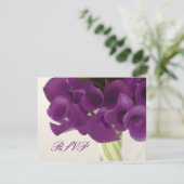 PixDezines Lys/do-it-yourself de Calla violet RSVP (Debout devant)