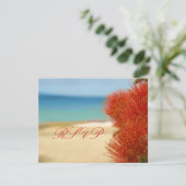 PixDezines Ohia+Beach Les grands RSVP nécessitent  (Debout devant)