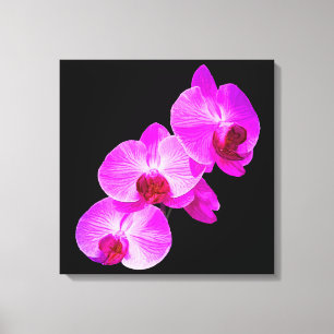 PixDezines Orchid/Hot Pink/DIY Achtergrondkleur Canvas Afdruk