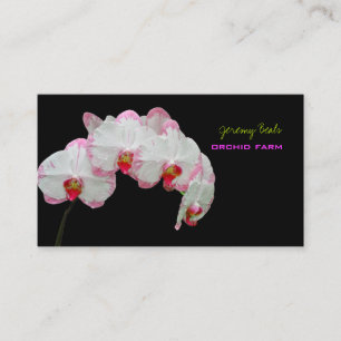 PixDezines orchidee/diy achtergrond kleur♥♥♥ Visitekaartje