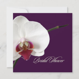PixDezines orchideeën/phalaenopsis Kaart