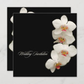 PixDezines orchideeën/phalaenopsis Kaart (Voorkant / Achterkant)