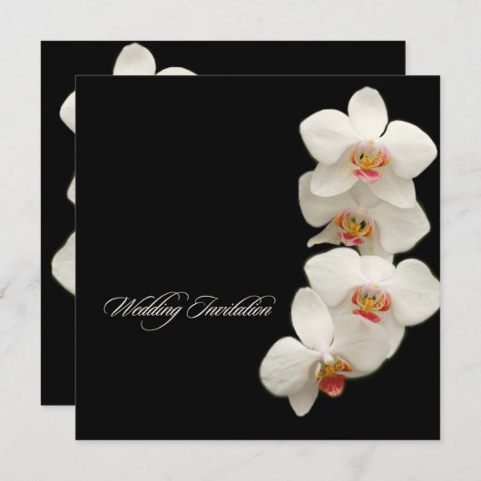 PixDezines orchideeën/phalaenopsis Kaart (Voorkant / Achterkant)